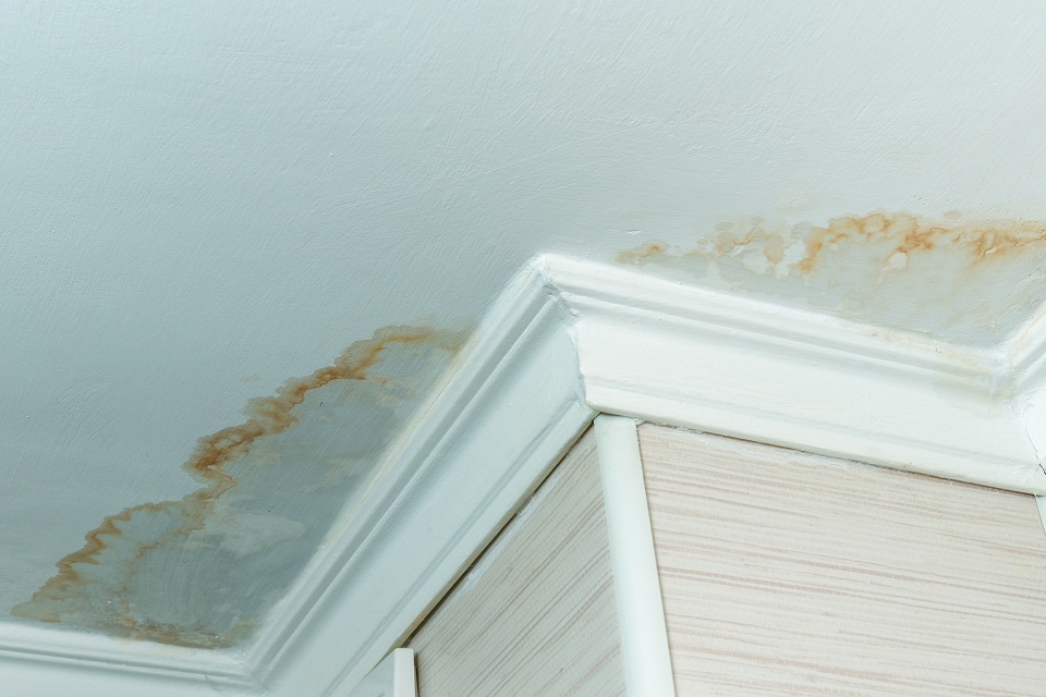 Water Intrusion On Your Home's Paint